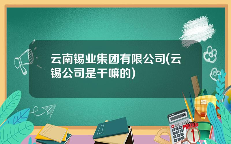 云南锡业集团有限公司(云锡公司是干嘛的)