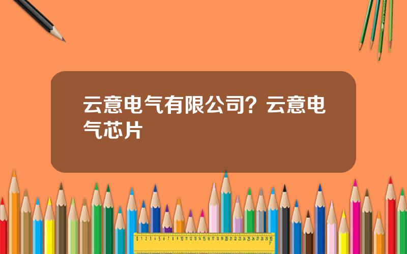 云意电气有限公司？云意电气芯片