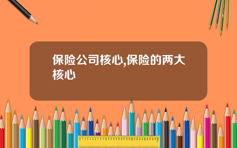 保险公司核心,保险的两大核心