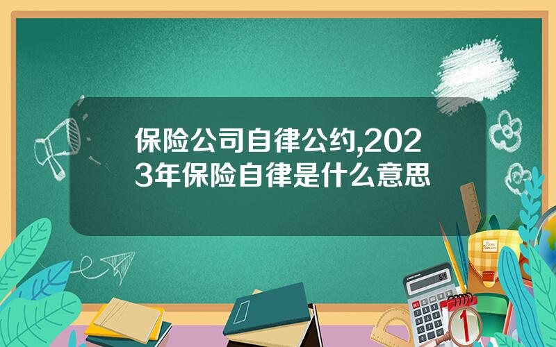 保险公司自律公约,2023年保险自律是什么意思