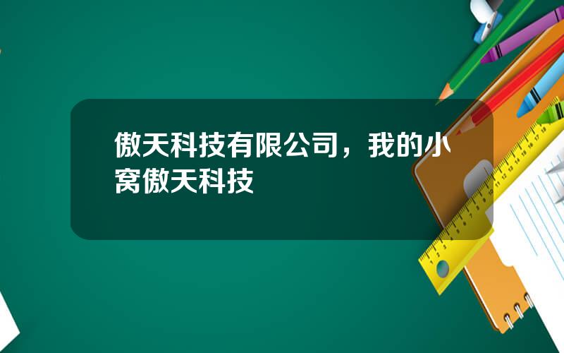 傲天科技有限公司，我的小窝傲天科技
