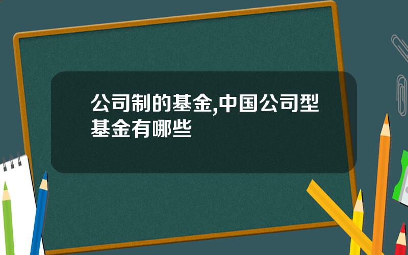 公司制的基金,中国公司型基金有哪些