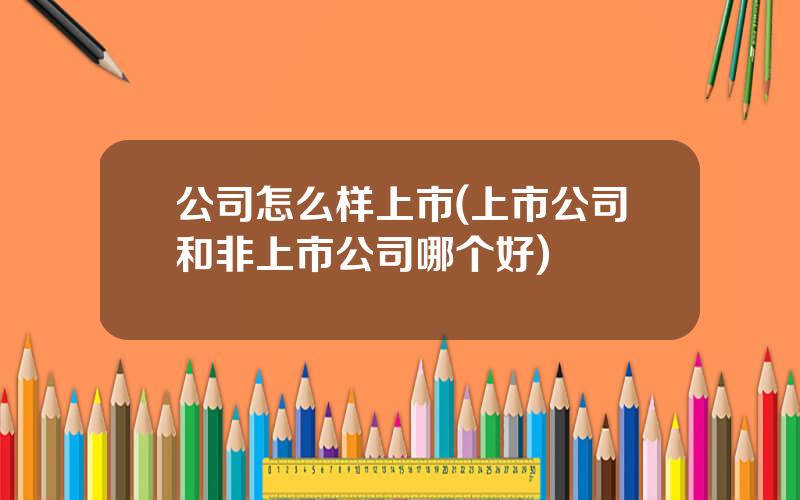 公司怎么样上市(上市公司和非上市公司哪个好)