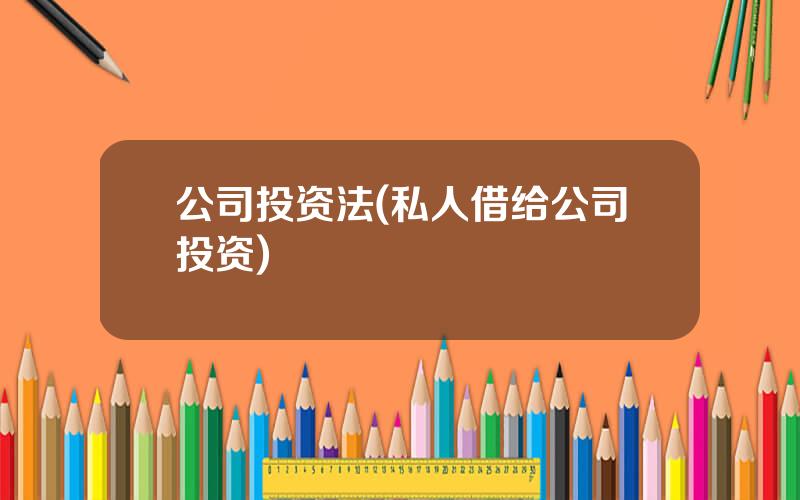 公司投资法(私人借给公司投资)