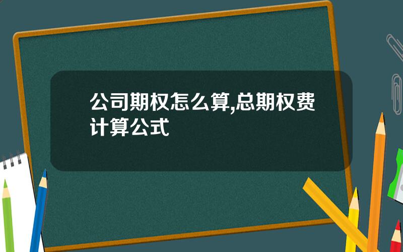 公司期权怎么算,总期权费计算公式