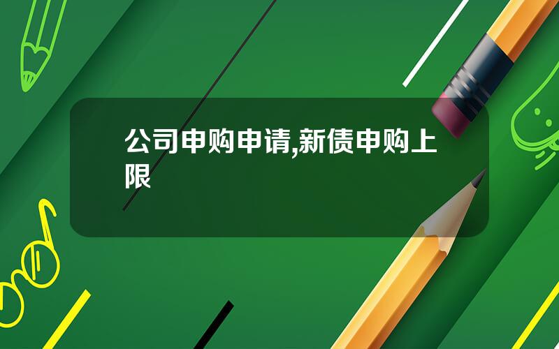公司申购申请,新债申购上限