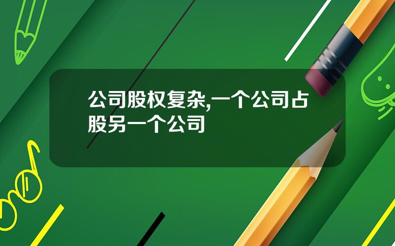 公司股权复杂,一个公司占股另一个公司