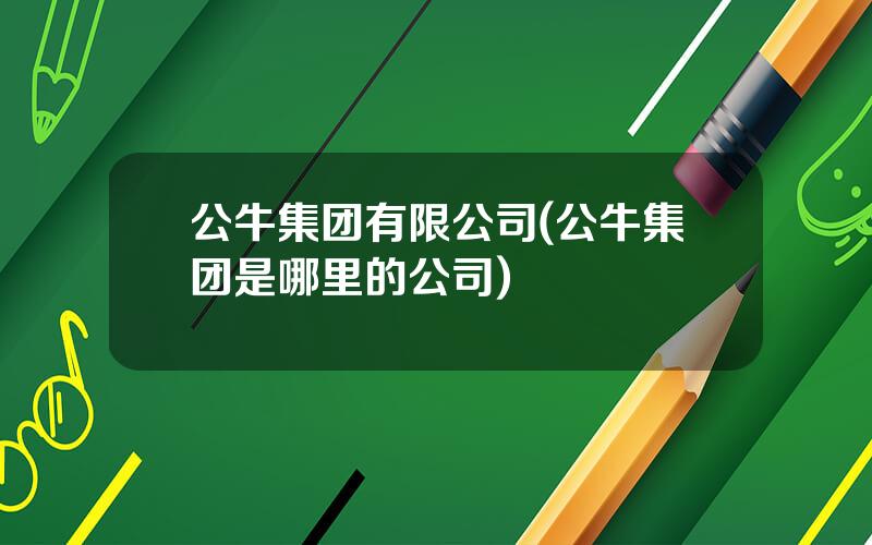 公牛集团有限公司(公牛集团是哪里的公司)
