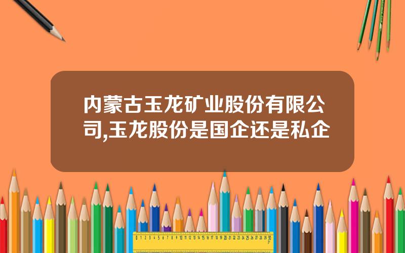 内蒙古玉龙矿业股份有限公司,玉龙股份是国企还是私企