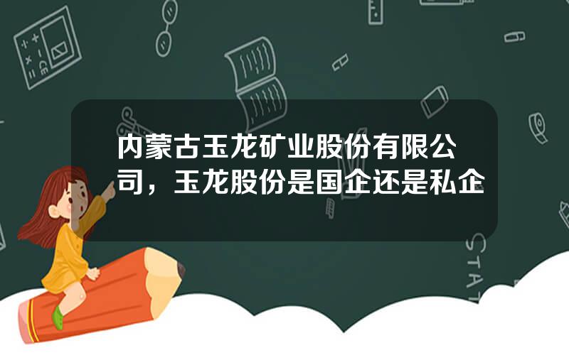 内蒙古玉龙矿业股份有限公司，玉龙股份是国企还是私企