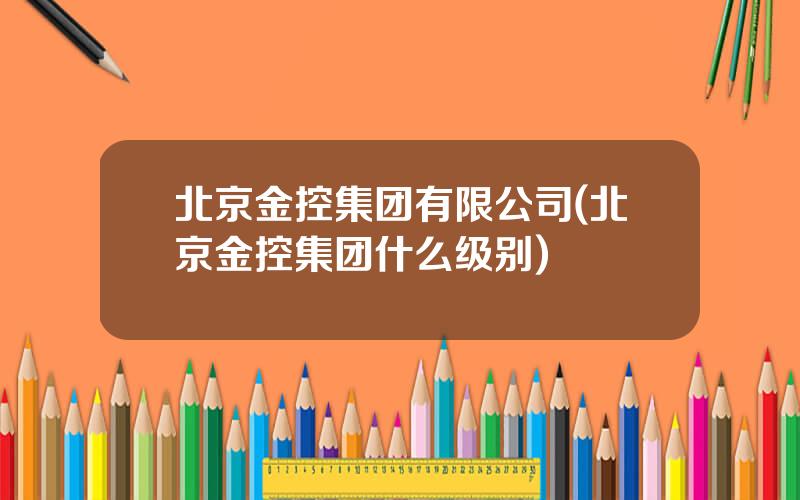 北京金控集团有限公司(北京金控集团什么级别)