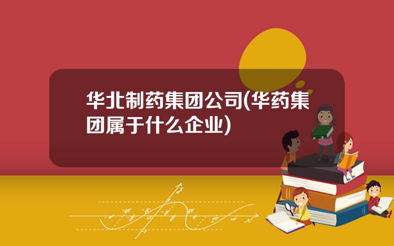 华北制药集团公司(华药集团属于什么企业)