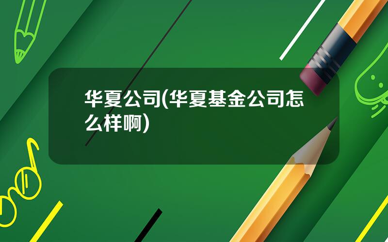 华夏公司(华夏基金公司怎么样啊)