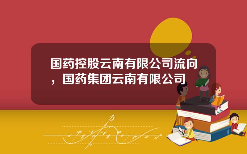 国药控股云南有限公司流向，国药集团云南有限公司