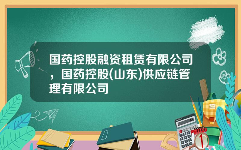 国药控股融资租赁有限公司，国药控股(山东)供应链管理有限公司