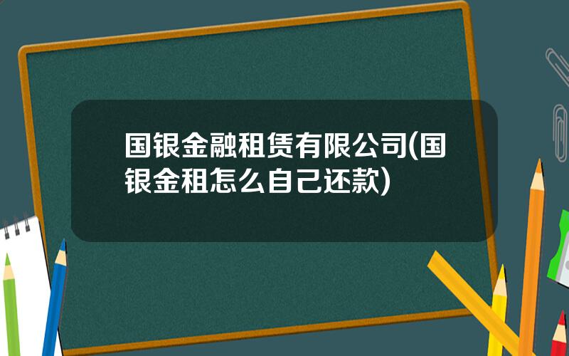 国银金融租赁有限公司(国银金租怎么自己还款)