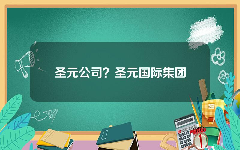圣元公司？圣元国际集团
