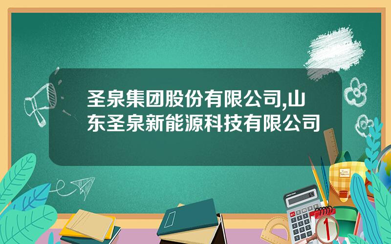 圣泉集团股份有限公司,山东圣泉新能源科技有限公司