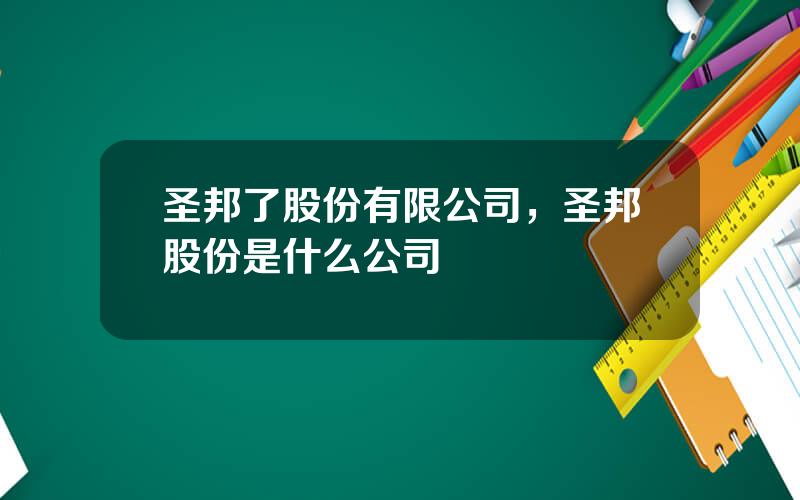 圣邦了股份有限公司，圣邦股份是什么公司