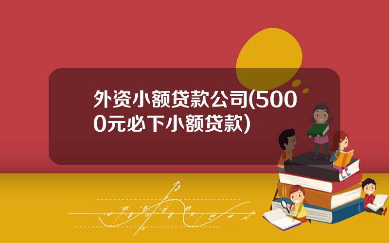 外资小额贷款公司(5000元必下小额贷款)