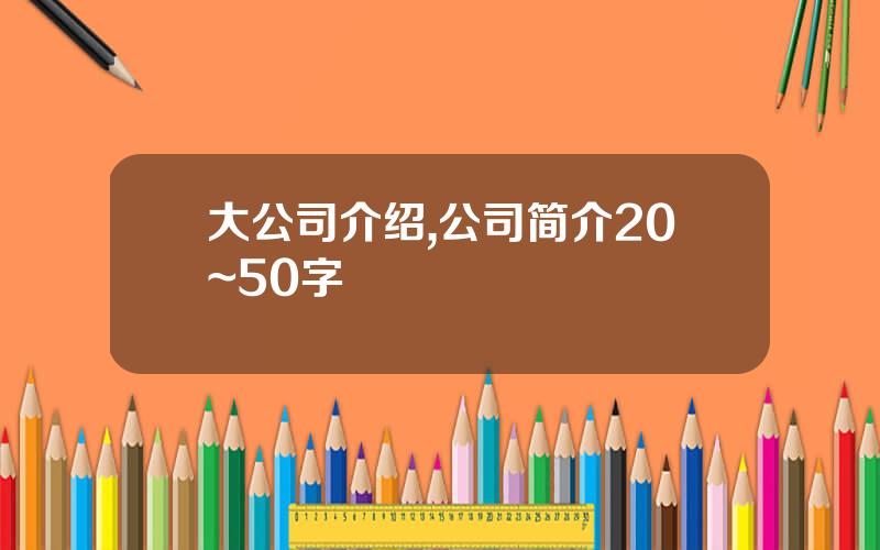 大公司介绍,公司简介20~50字