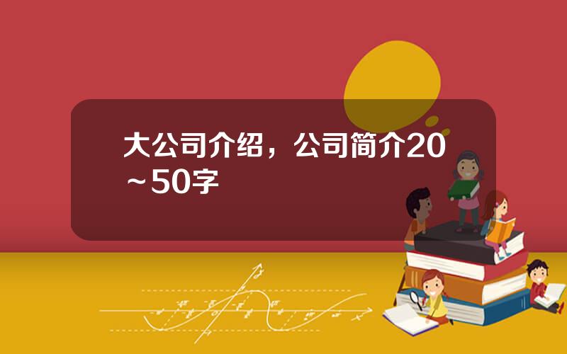 大公司介绍，公司简介20～50字