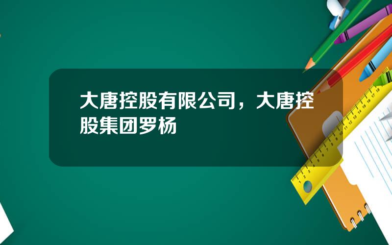 大唐控股有限公司，大唐控股集团罗杨