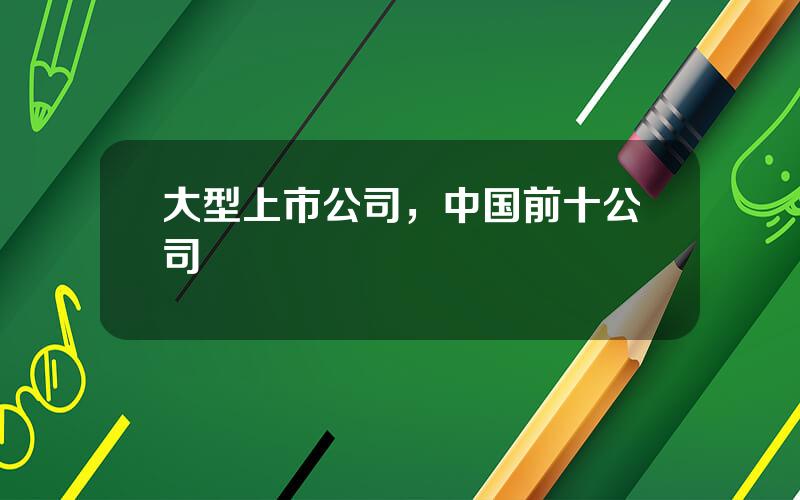 大型上市公司，中国前十公司