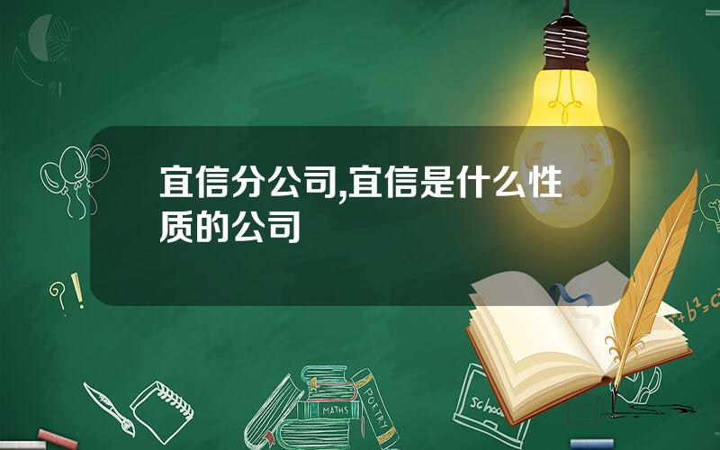 宜信分公司,宜信是什么性质的公司