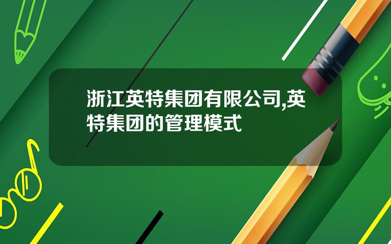 浙江英特集团有限公司,英特集团的管理模式