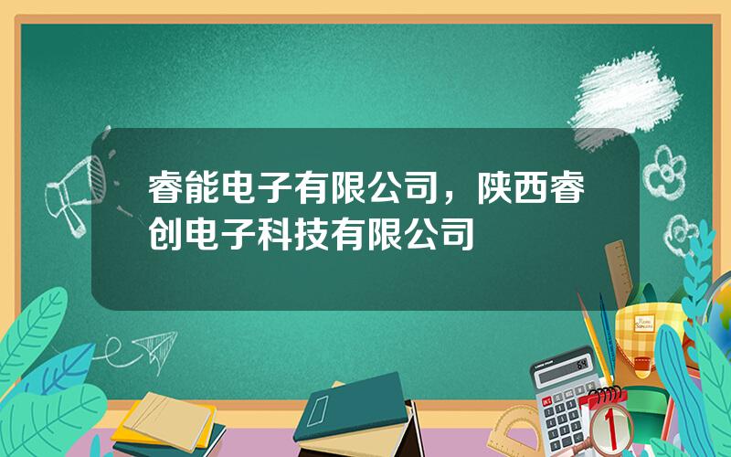 睿能电子有限公司，陕西睿创电子科技有限公司