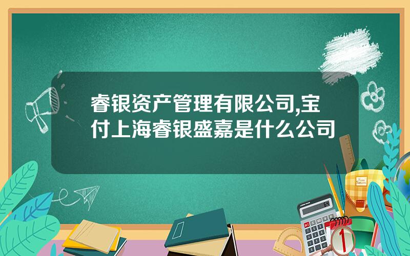 睿银资产管理有限公司,宝付上海睿银盛嘉是什么公司