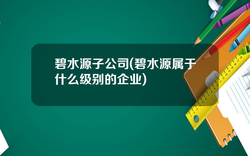 碧水源子公司(碧水源属于什么级别的企业)