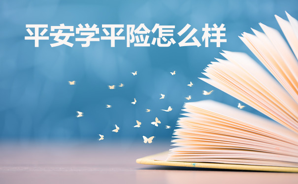 平安学平险怎么样-如何查询保单-需要注意什么-