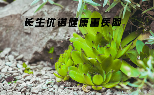 2021年重疾新产品！长生优诺健康重疾险保什么？保险公司靠谱吗？_1